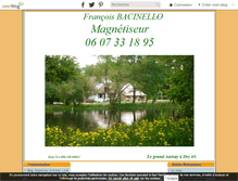 Tablet Screenshot of magnetiseur-regioncentre.com